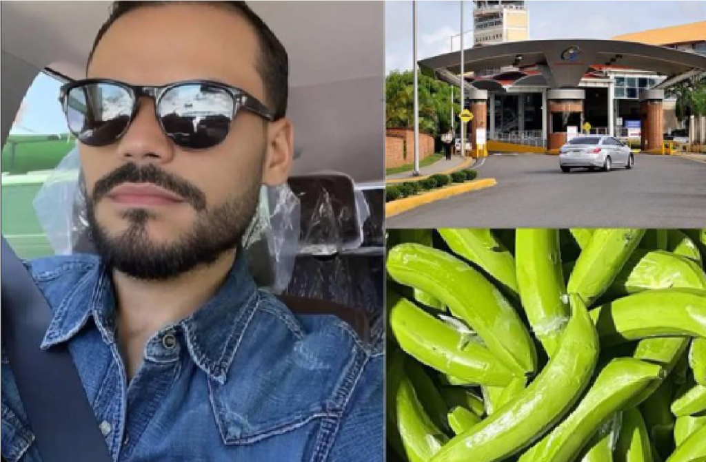 red Narcobananas dedicada al tráfico de cocaína